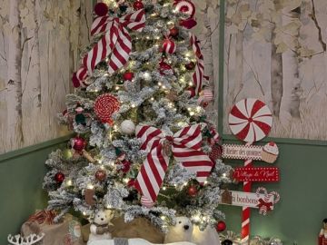 Il était une fois...
Un lieu rempli de magie, de rires et de lumière… ✨
Un cocon féerique où vos enfants peuvent jouer en toute liberté pendant que vous...