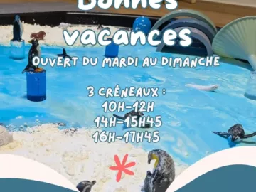❄️ Bonnes vacances à toutes les familles 💙

Chez Lumi’Kids, on explore, on patouille, on joue…
et surtout on partage de jolis moments ensemble 🐧✨

Nous...